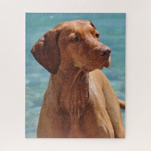 Magyar Vizsla Hund Puzzle