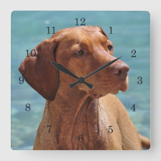 Magyar Vizsla Hund Quadratische Wanduhr