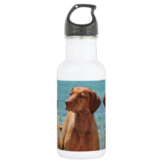Magyar Vizsla Hund Trinkflasche