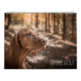 Magyar Vizsla Hunde Kalender