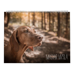 Magyar Vizsla Hunde Kalender
