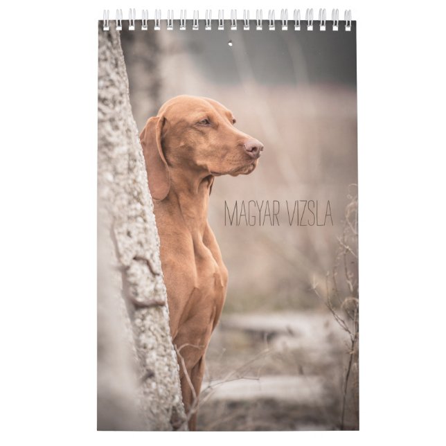 Magyar Vizsla Hunde Kalender (Titelbild)