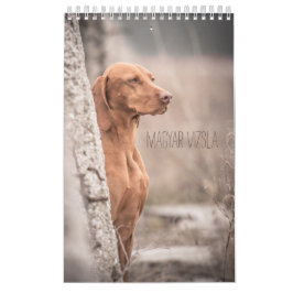 Magyar Vizsla Hunde Kalender