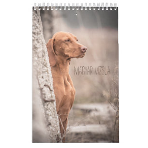 Magyar Vizsla Hunde Kalender
