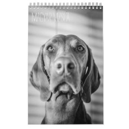Magyar Vizsla Hunde Kalender black & white