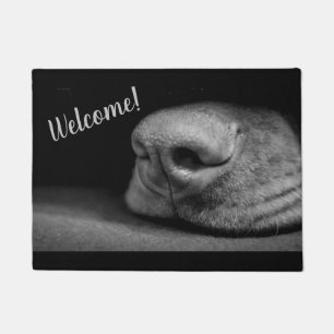 Magyar Vizsla Hunde Türmatte