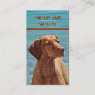 Magyar Vizsla HundeVisitenkarten Visitenkarte
