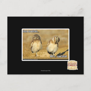 Mah Brothah Postkarte