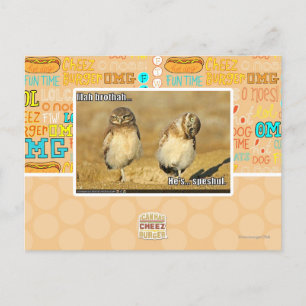 Mah Brothah Postkarte