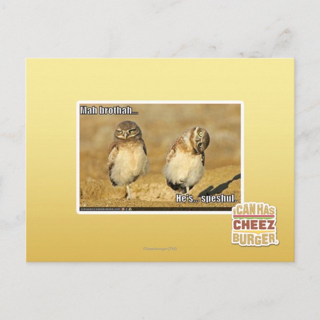 Mah Brothah Postkarte (Vorderseite)