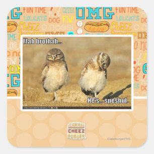 Mah Brothah Quadratischer Aufkleber