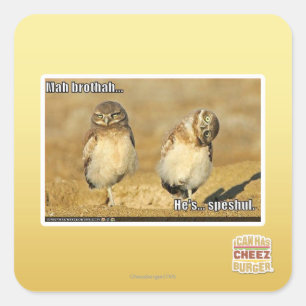 Mah Brothah Quadratischer Aufkleber