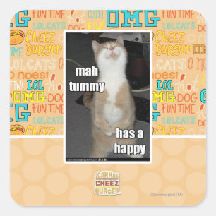 Mah Tummy hat glücklich Quadratischer Aufkleber