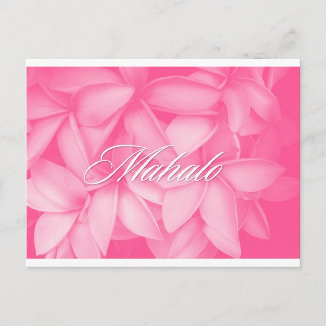 Mahalo Pink Plumeria Card Postkarte (Vorderseite)