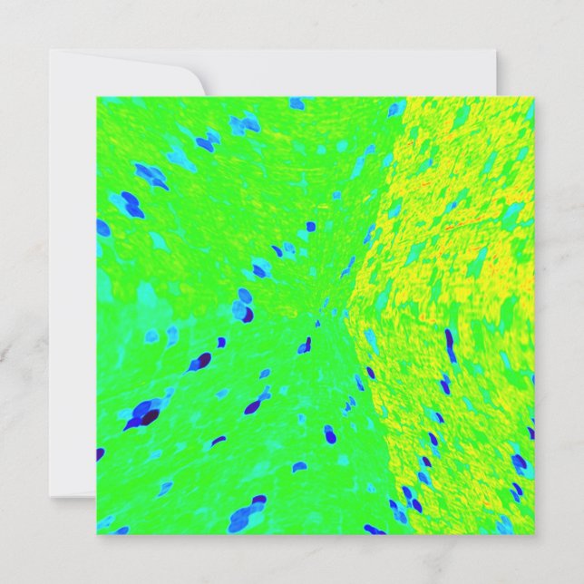 Mahi Mahi Dolphin Fish Art Colors (Vorderseite)