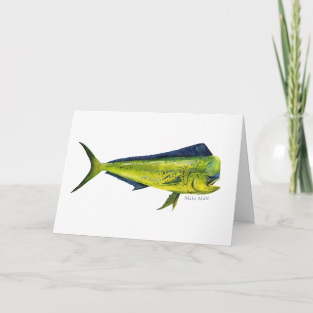 Mahi-Mahi-Fischkarte Karte (Vorderseite)