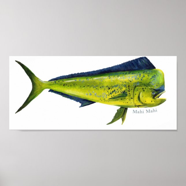 Mahi-Mahi-Fischposter Poster (Vorne)