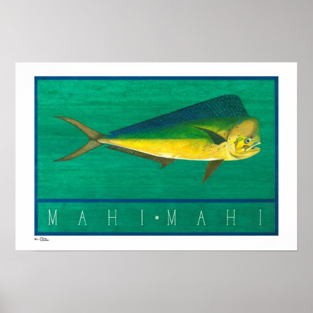 Mahi-Mahi-Poster, Prints und Rahmen Poster (Vorne)
