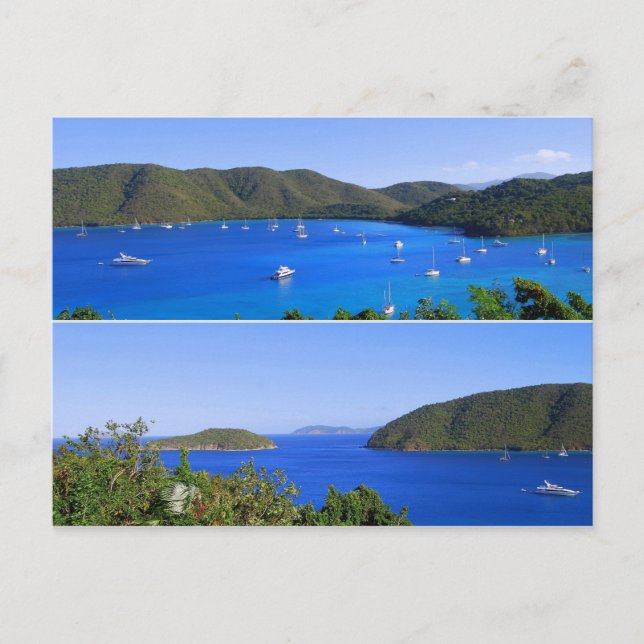 Maho Bay Collage, St. John, U.S.V.I. Postcard Postkarte (Vorderseite)