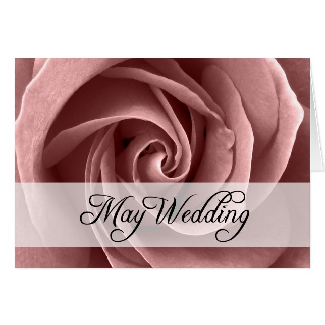 Mai Hochzeit : Rose der Saison: (Vorderseite (Horizontal))