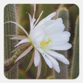 Mai im Garten Quadratischer Aufkleber