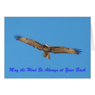 "Mai ist der Wind immer an Ihrem hinteren…."