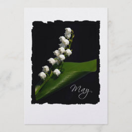 Mai: Lily of the Valley