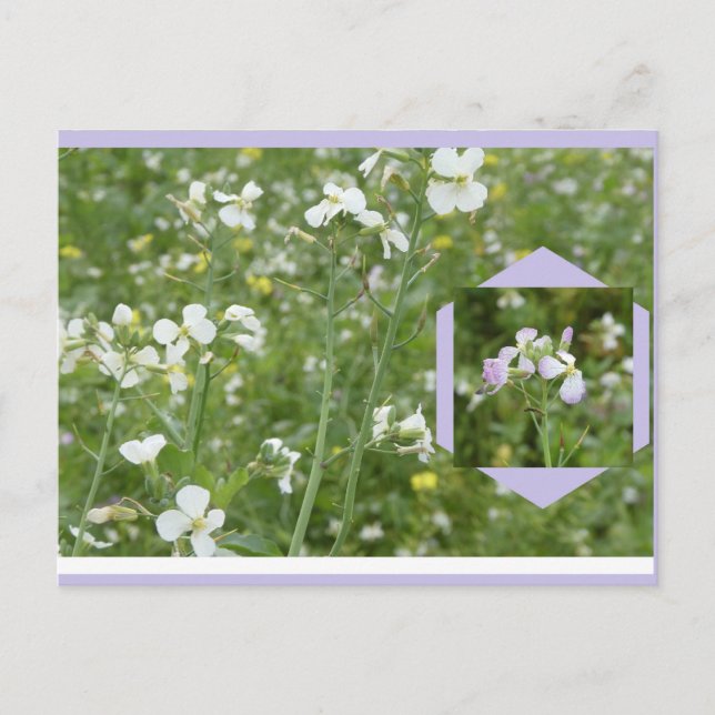 Maiblumen DIY Postkarte (Vorderseite)