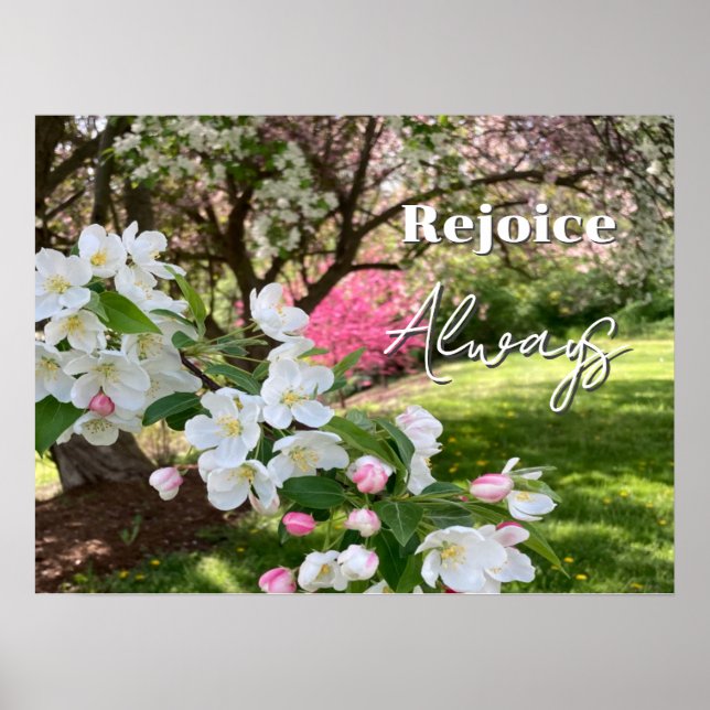 Maiblumen Rosa Freue Dich Immer Poster (Vorne)