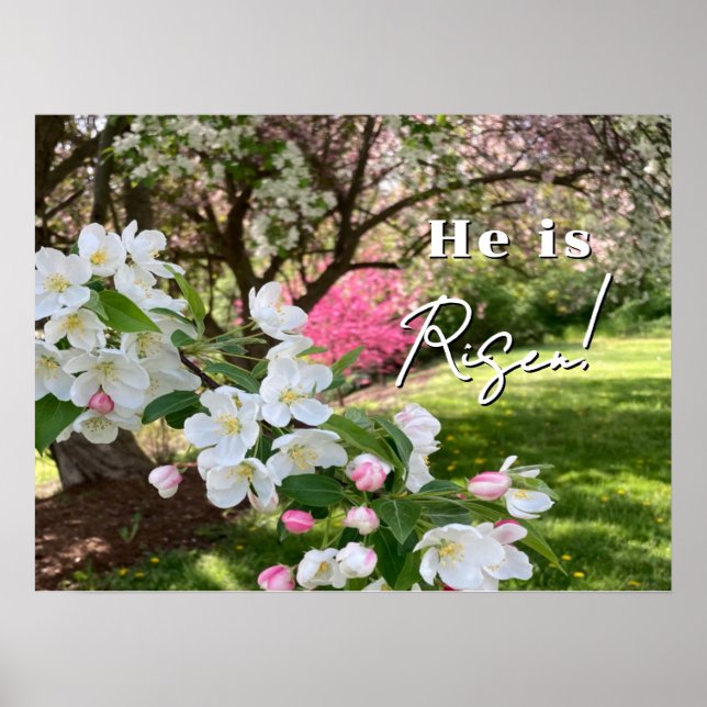 Maiblumen Rosa Ostern Poster (Vorne)