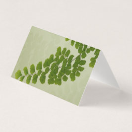 Maiden Hair Fern Frond