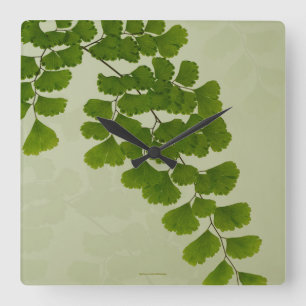 Maiden Hair Fern Frond Quadratische Wanduhr