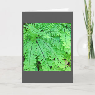 Maidenhair Farn-Raum-Anmerkungs-Karte Karte