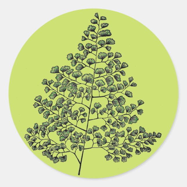 Maidenhair Fern Runder Aufkleber (Vorderseite)