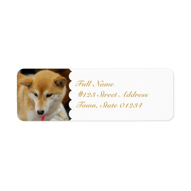 MailingLabel-5 - Benutzerdefiniert (Vorne)