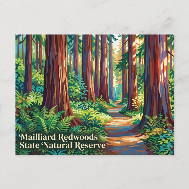 Mailliard Redwoods State Natural Reserve Postkarte (Vorderseite)