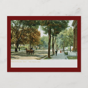 Main Ave., Knoxville TN 1909 Vintag Postkarte