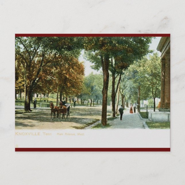 Main Ave., Knoxville TN 1909 Vintag Postkarte (Vorderseite)