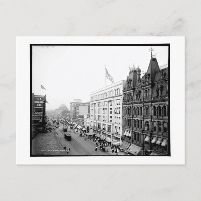 Main Street, Buffalo, New York Vintag Postkarte (Vorderseite)