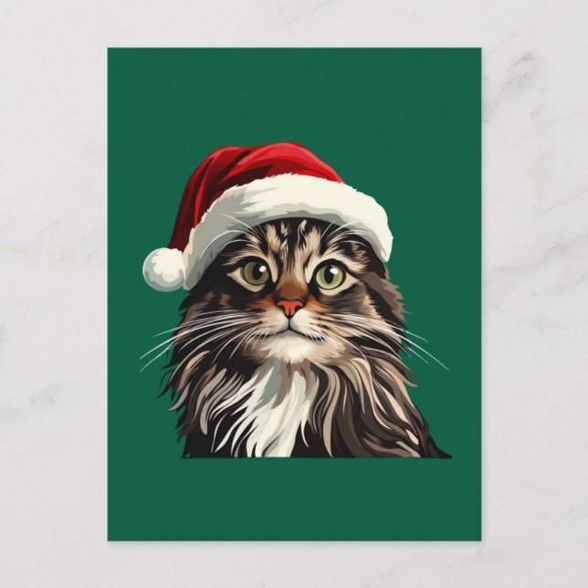 Maincoon, CHRISTMAS, Kätzchen, Kätzchen präsentier Postkarte (Vorderseite)