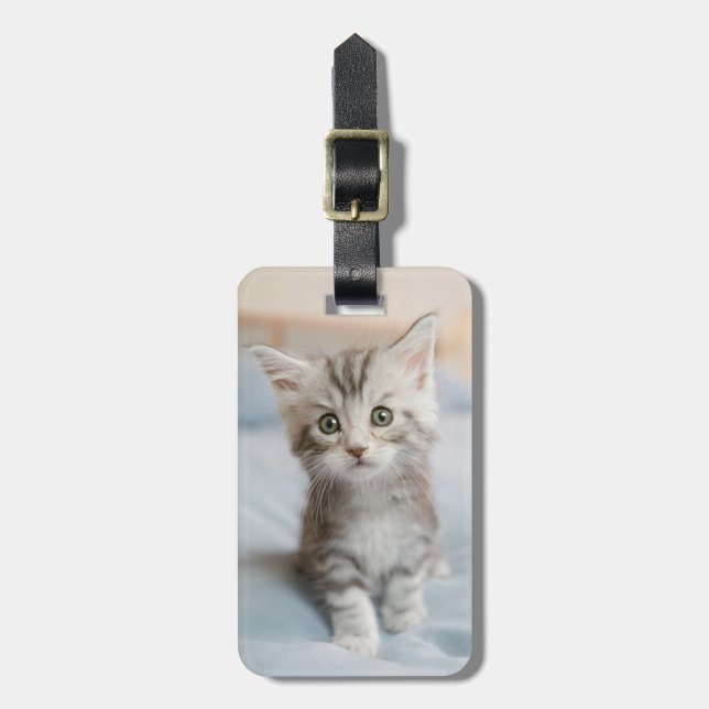 Maincoon Kitten Gepäckanhänger (Vorderseite vertikal)