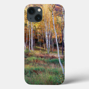 Maine, Acadia-Nationalpark, Herbst Case-Mate iPhone Hülle
