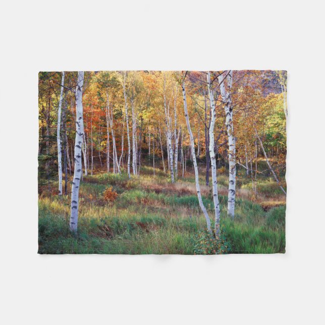 Maine, Acadia Nationalpark, Herbst Fleecedecke (Vorderseite (Horizontal))