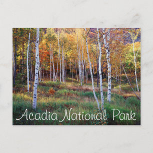 Maine, Acadia Nationalpark, Herbst Postkarte