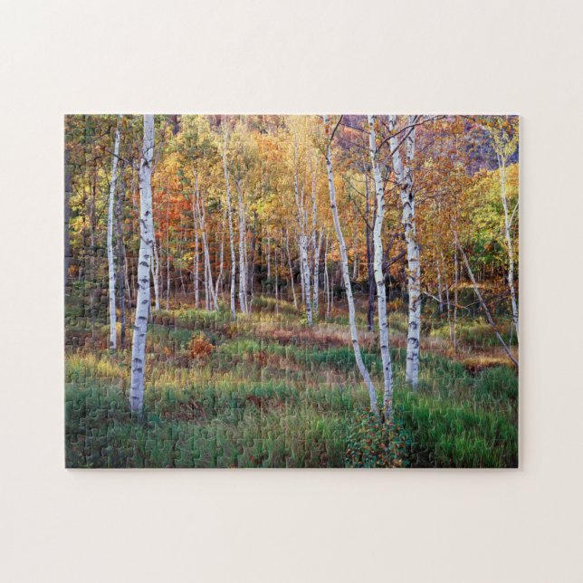 Maine, Acadia Nationalpark, Herbst Puzzle (Horizontal)