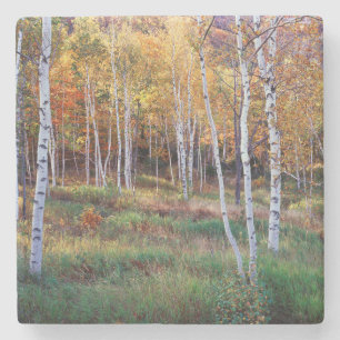 Maine, Acadia Nationalpark, Herbst Steinuntersetzer