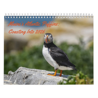 Maine-Atlantik-Puffins: Richtung 2026 gleiten Kalender