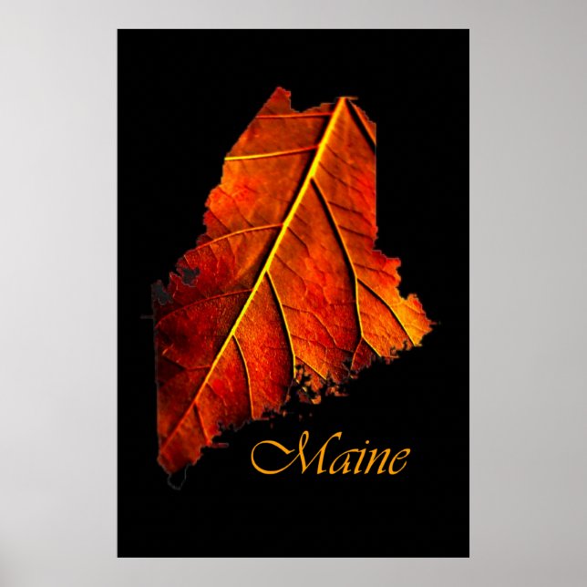 Maine Autumn Orange Leaf | Maine Fall Foliage Poster (Vorne)