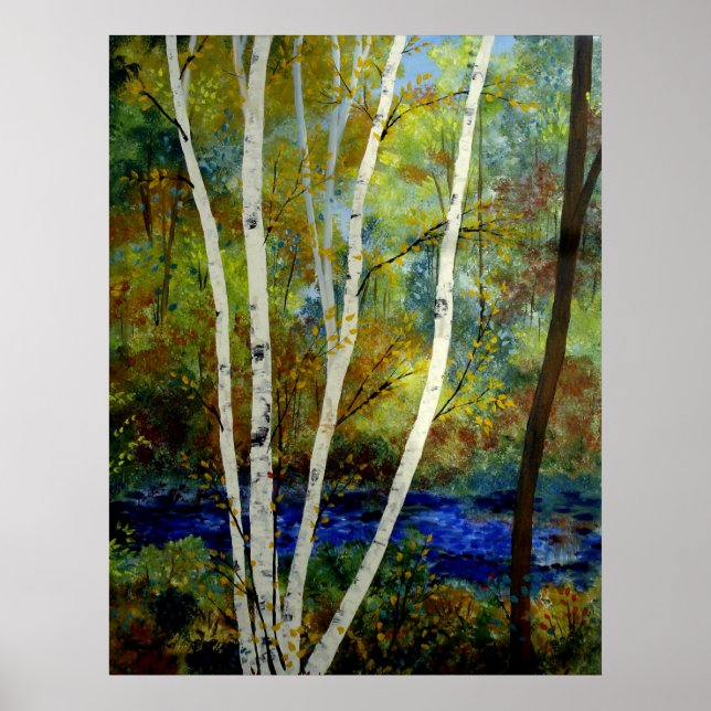 Maine Birch Stream Poster (Vorne)