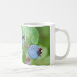 Maine-BlaubeerTasse Tasse